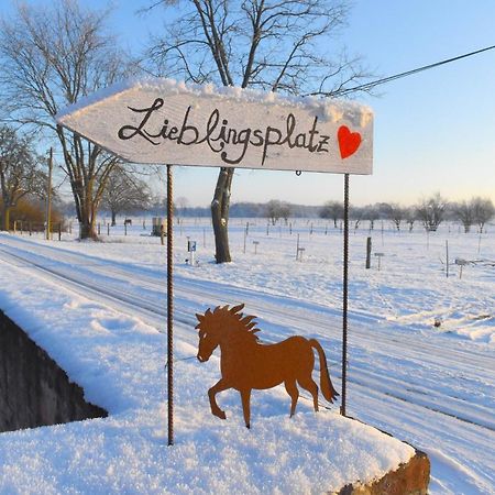 Ferienwohnung auf Pferdehof Dreetz Exterior foto