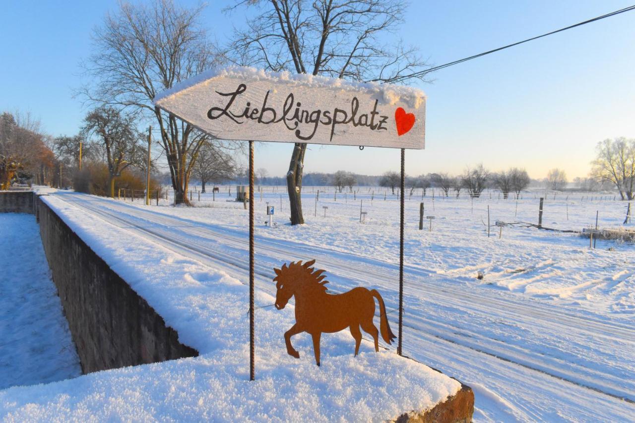 Ferienwohnung auf Pferdehof Dreetz Exterior foto