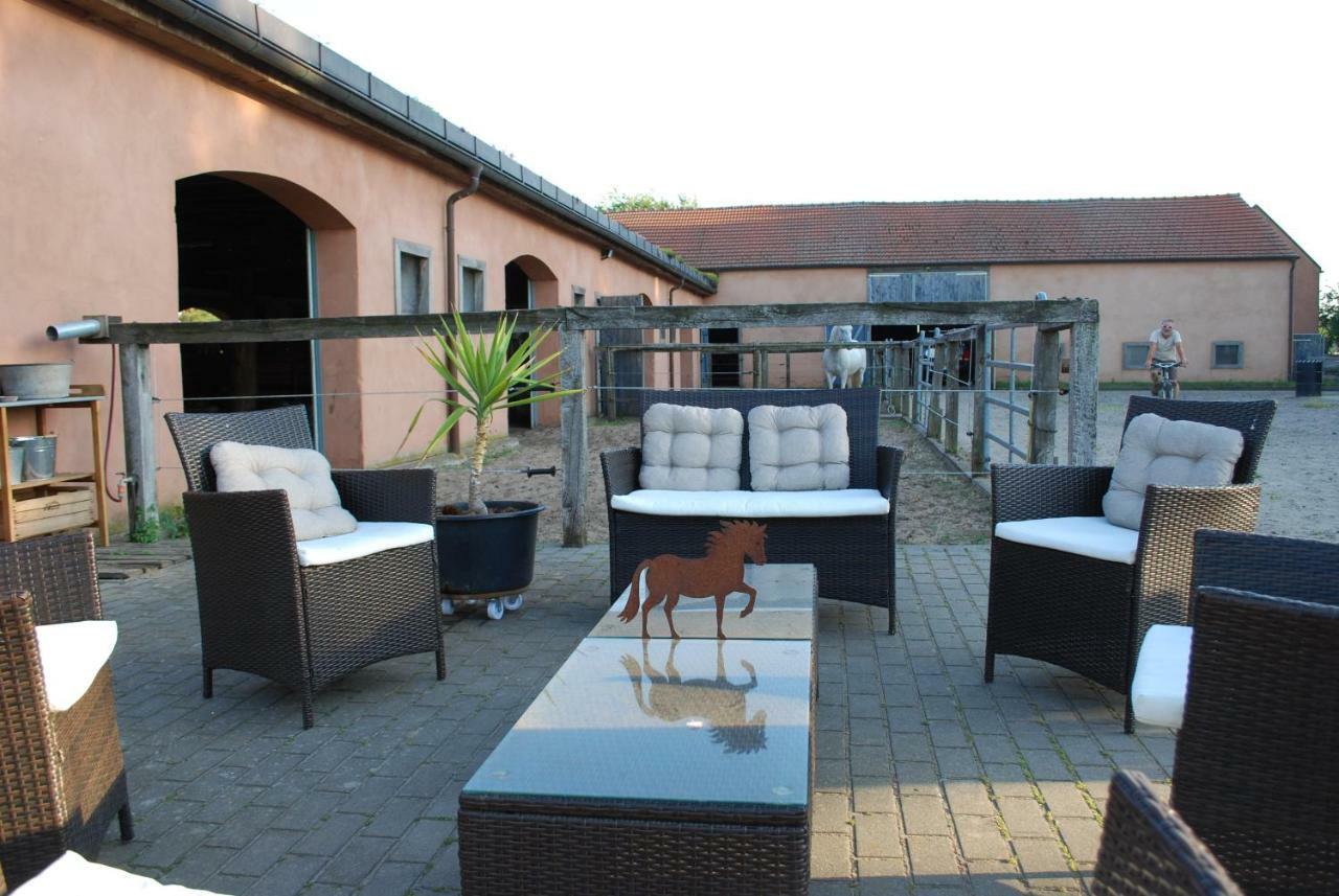 Ferienwohnung auf Pferdehof Dreetz Exterior foto
