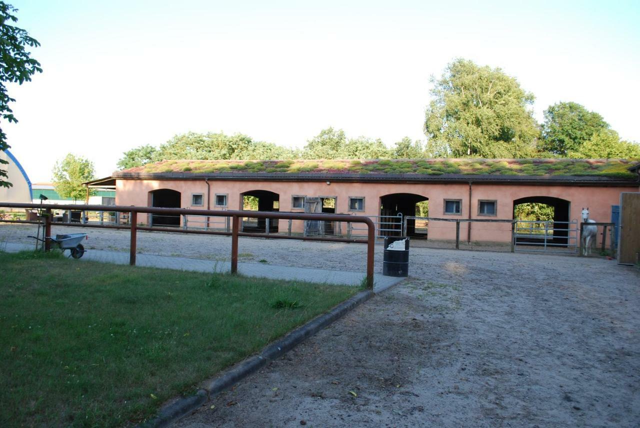 Ferienwohnung auf Pferdehof Dreetz Exterior foto