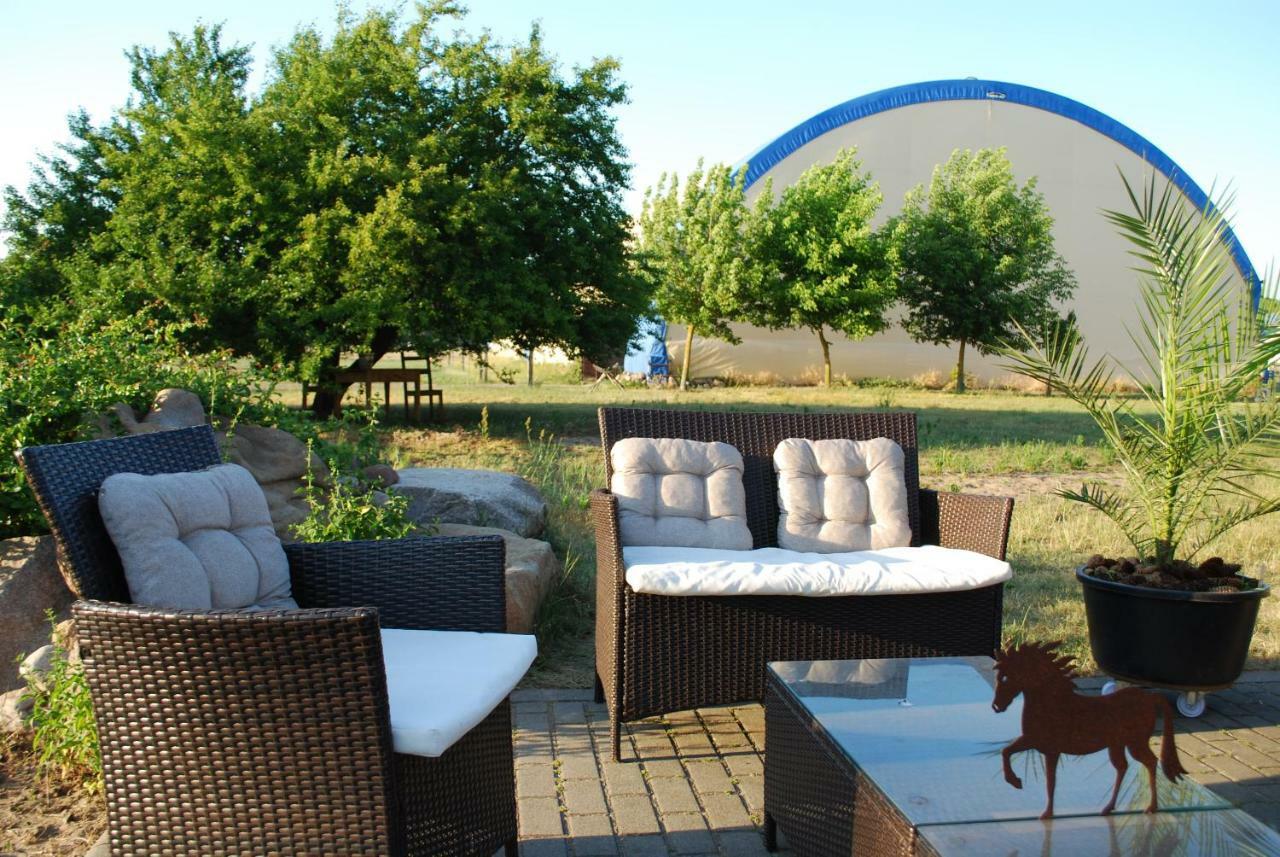 Ferienwohnung auf Pferdehof Dreetz Exterior foto