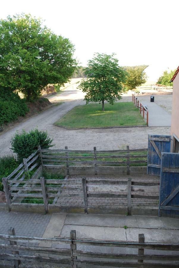 Ferienwohnung auf Pferdehof Dreetz Exterior foto